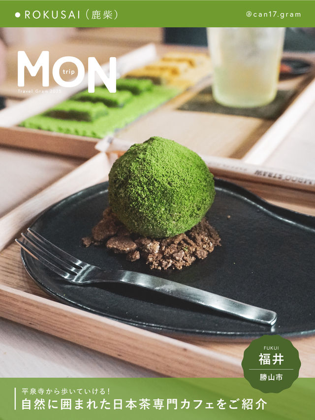 【福井県勝山市】苔をモチーフにした日本茶カフェ🍵 【福井県勝山市】苔をモチーフにした日本茶カフェ🍵