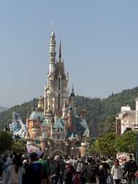 Disneyland in New Year 2025