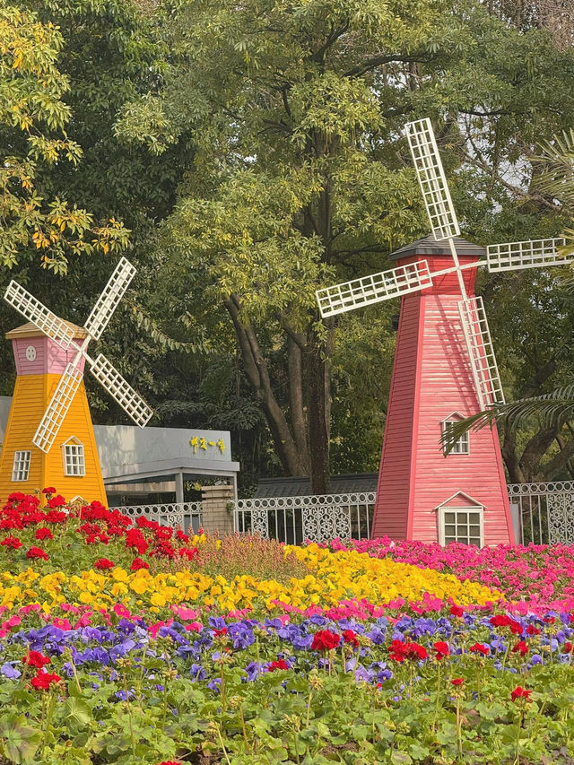 🌼 The best flower seas in Guangzhou