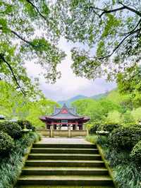 Jinyun Xiandu National Scenic Area