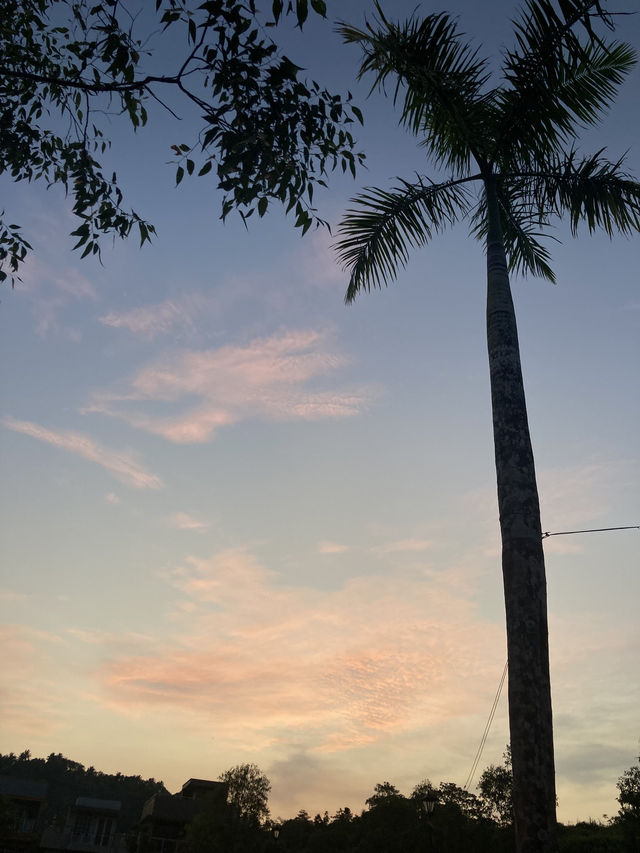 #vacation