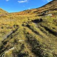 Journey Through Garzê Tibetan