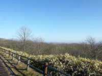 來到北海道，如果想感受真正的原野之美，釧路濕原絕對是必訪之地。