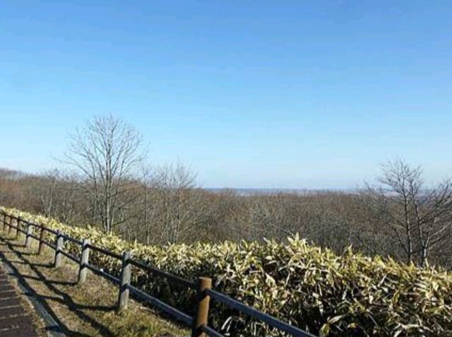 來到北海道，如果想感受真正的原野之美，釧路濕原絕對是必訪之地。