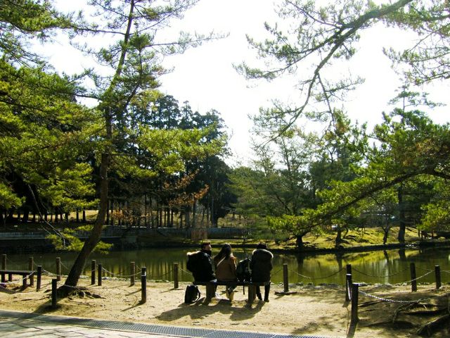 사슴과 산책하는 동네, 일본 나라 사슴과 산책하는 동네, 일본 나라