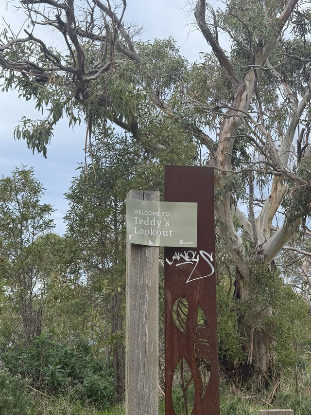 2D1N Great Ocean Road Adventure: Koalas, Coastal Views & Hidden Gems 🐨🌊