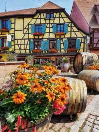 🍇🏰 Riquewihr: Alsace’s Fairy-Tale Wine Village