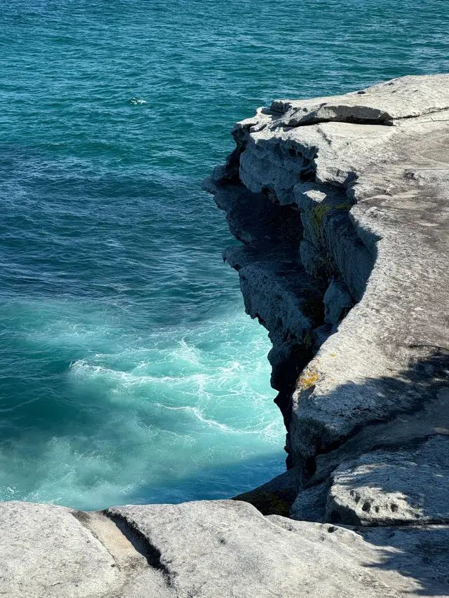 【Bondi to Coogee Coastal Walk｜悉尼最美海岸步道】