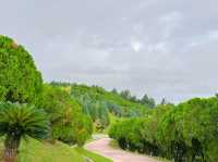 Morning Briskwalk at Taman Saujana Hijau