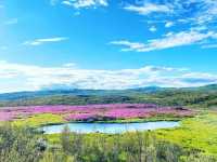 Experiencing the Natural Wonders of Abisko