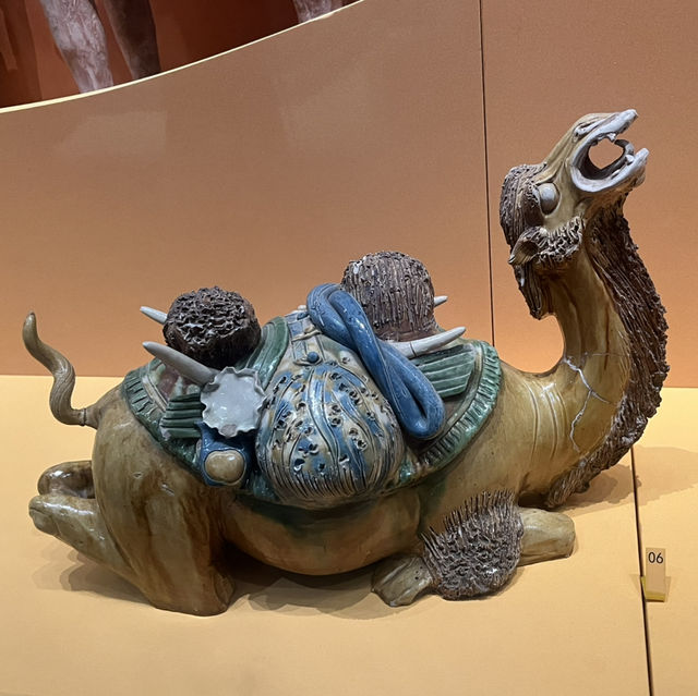  🏛 Xi’an Museum — A Hassle-Free Cultural Stop in the Ancient Capital