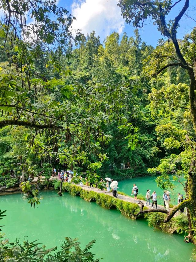 Find Stillness in the Wild Soul of Libo