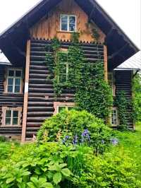 🏡 Estonian Open Air Museum – Step Back in Time in Tallinn 🏡