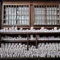 My Solo Pilgrimage to Tokyo's Lucky Cat Kingdom