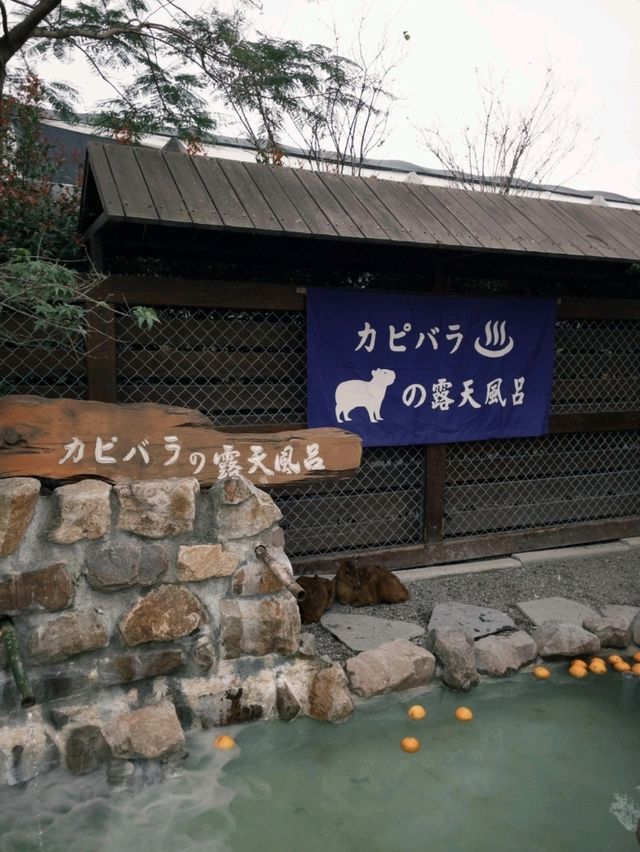 Yilan: Nature and Hot Springs in Northern Taiwan