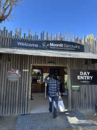 Moonlit Sanctuary ฟินจิงโจ้แบบใกล้ชิด