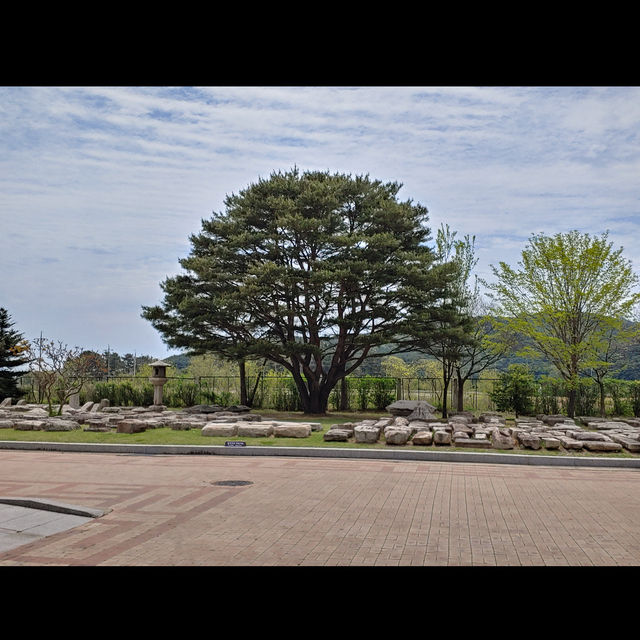 🏺 신라 천년의 숨결을 느낄 수 있는 곳, 국립경주박물관 🌿⛩️