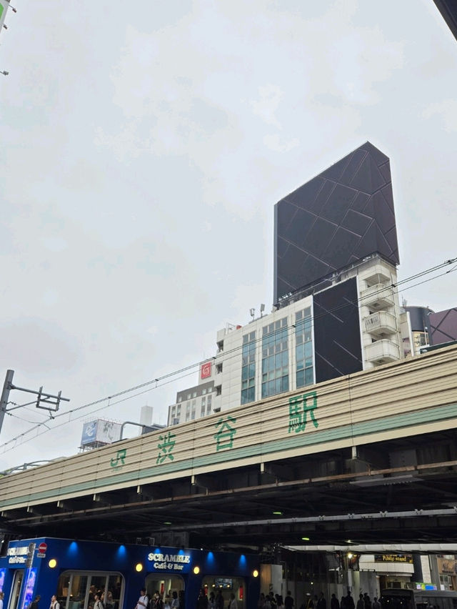 【東京澀谷】✨️感受「世界最繁忙」嘅十字路口✨️震撼 🎬💼