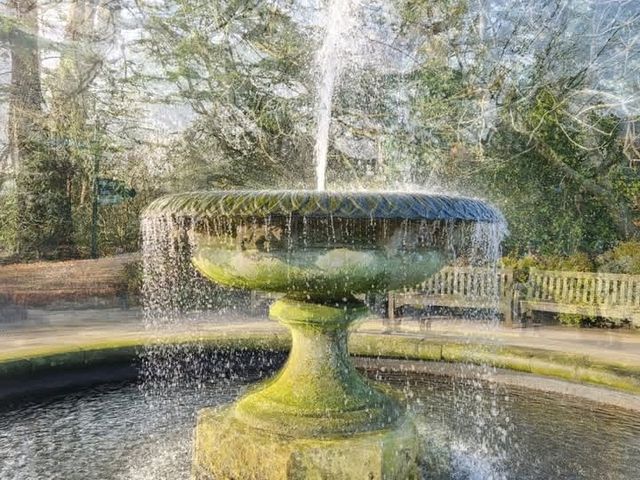 Lovely day out full of various plants and trees. Most of the outdoor plants are British origin with others being housed indoors.