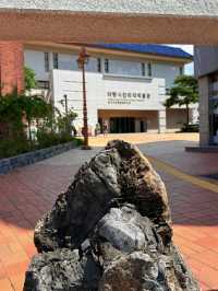 大邱｜到藥令市韓醫藥博物館 看懂自成流派的韓醫源流