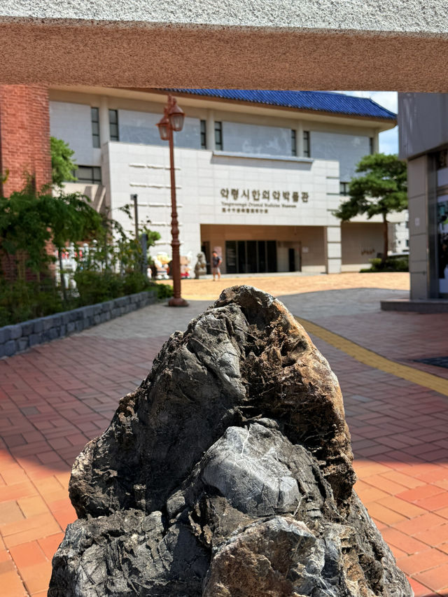 大邱｜到藥令市韓醫藥博物館 看懂自成流派的韓醫源流