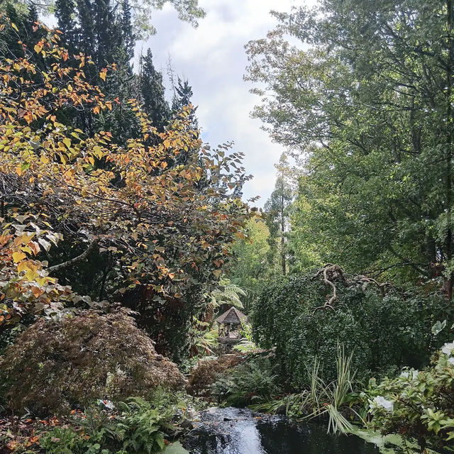 Ayrlies Garden and Wetlands