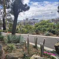 Royal Botanic Gardens Victoria - Melbourne Gardens