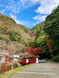 【錦秋の滝】愛媛・白滝公園