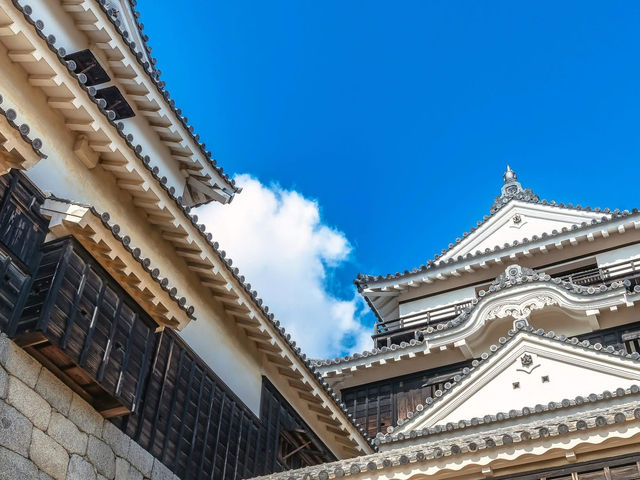 Matsuyama Castle 
