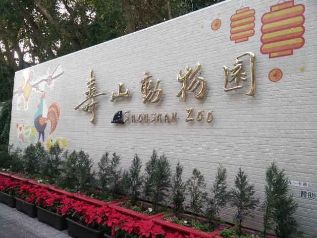 漫步空中長廊親近可愛動物🦒#壽山動物園-高雄市鼓山區