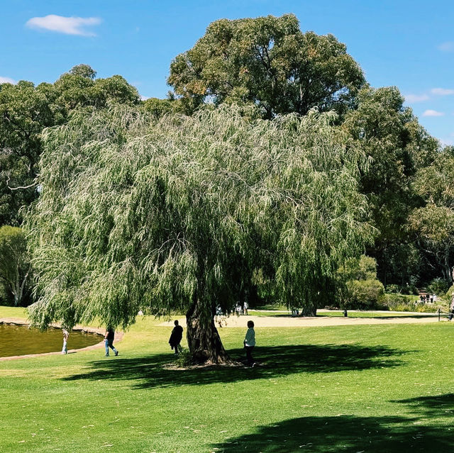 Kings Park and Botanic Garden 