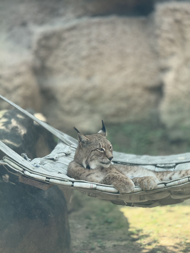 ソウル