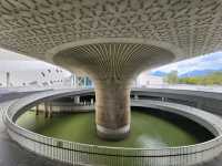 “Fuzhou Cultural Centre – Where Art, Architecture, and Inspiration Meet”