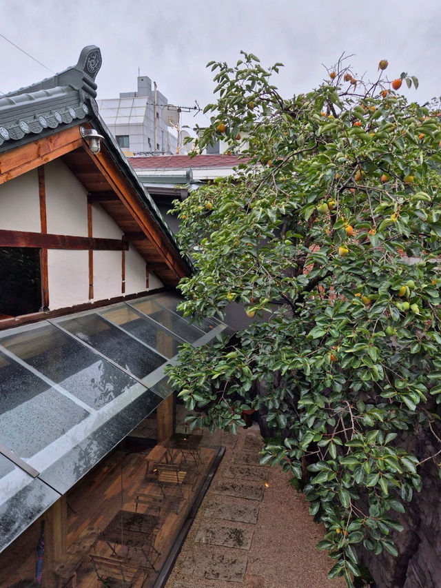 🏠숙대입구역카페 작은정원 카페 언뎁트