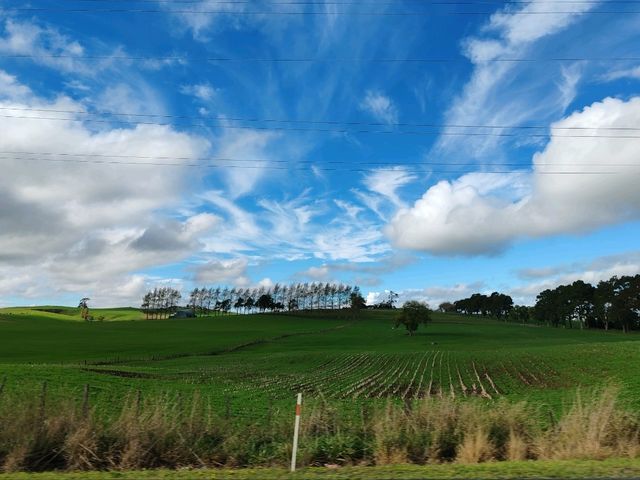 The Hamilton New Zealand Temple: A Divine Light Atop the Hill
