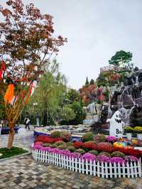 줄거운 나들이🍁