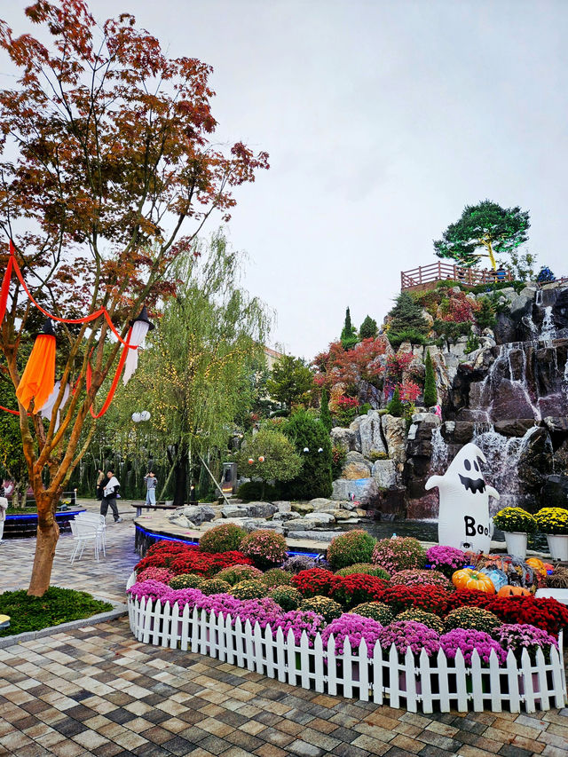 줄거운 나들이🍁