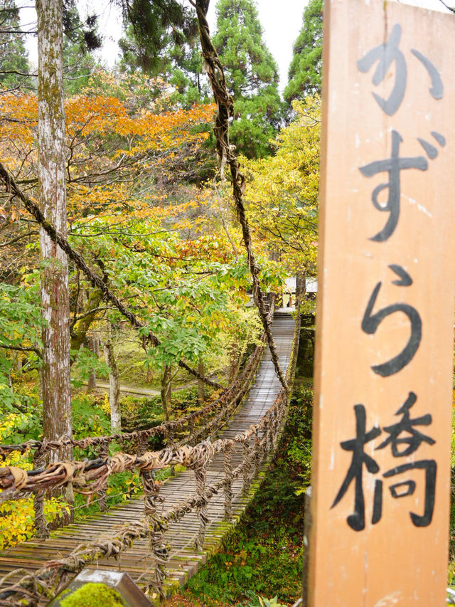 踏み板の隙間が多く、スリル満点のかずらで造られた吊り橋