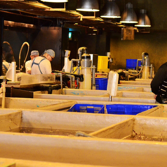🐟 Taipei Fish Market  เหมือนอยู่ญี่ปุ่นกลางไทเป