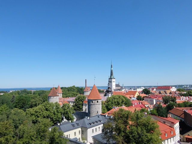 【エストニア】パットクリ展望台