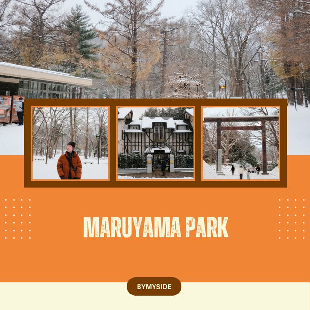 ❄️ Maruyama Park – สวนหิมะใจกลางซัปโปโร ❄️ Maruyama Park – สวนหิมะใจกลางซัปโปโร