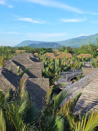 RiverTree Magic 🍃