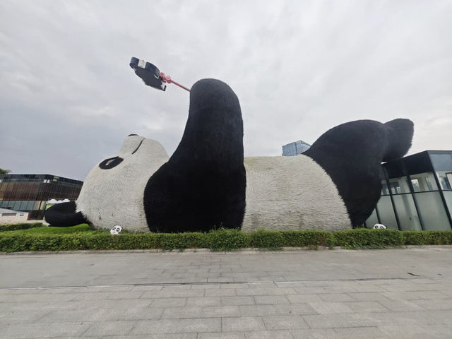 Panda Valley (Good Alternative to Chengdu Research Base of Giant Panda Breeding)