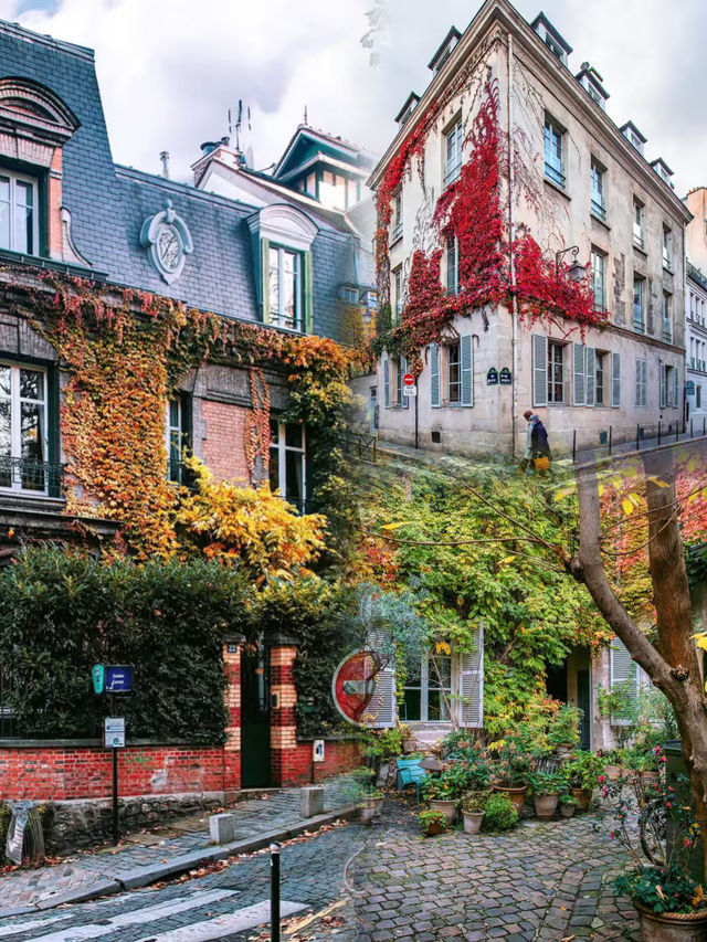 🍂 Paris – Autumn Romance Beneath the Golden Leaves 🇫🇷✨