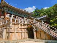 📍경주여행 1박2일 여행코스 완벽 정리!