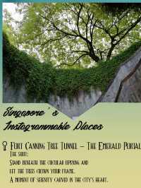 Art on the Streets🌆 A Visual Diary