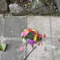 쉿! 🇮🇩 발리, 천국의 풀빌라 몰래 공개해요!