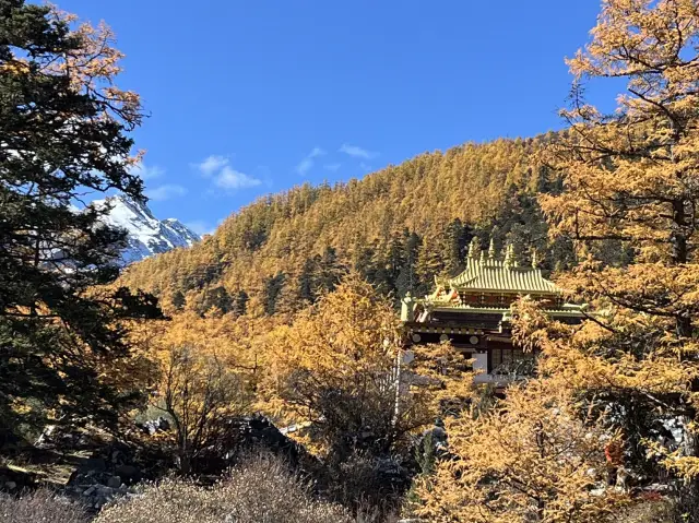 “วัดชงกู่” (Chonggu Temple) ชมใบไม้เปลี่ยนสี