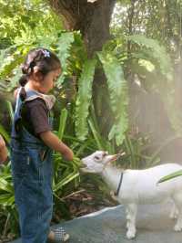 กิจกรรมพาลูกเที่ยวที่คาเฟ่บ้านกัปตันเรือ 💙