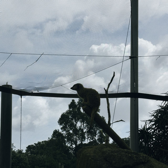 Auckland Zoo: ครึ่งวันที่เต็มไปด้วยความสนุกสนาน Auckland Zoo: ครึ่งวันที่เต็มไปด้วยความสนุกสนาน